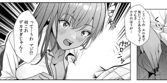 ギャルとガリ勉～入り浸り勉強会でお礼セックス～【R版】