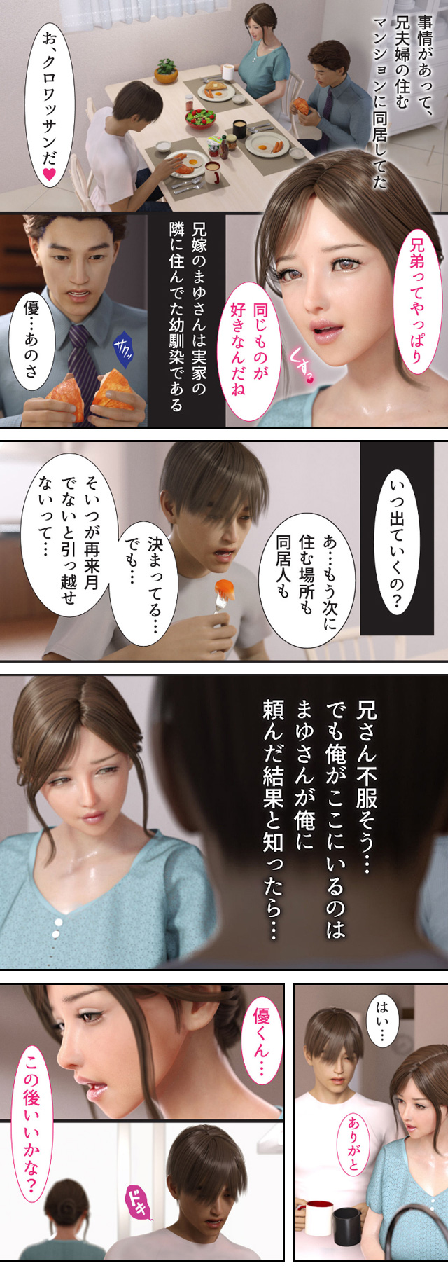 『兄嫁の子宮が哭くから【18禁】』美人兄嫁に子供が欲しいと頼まれて…